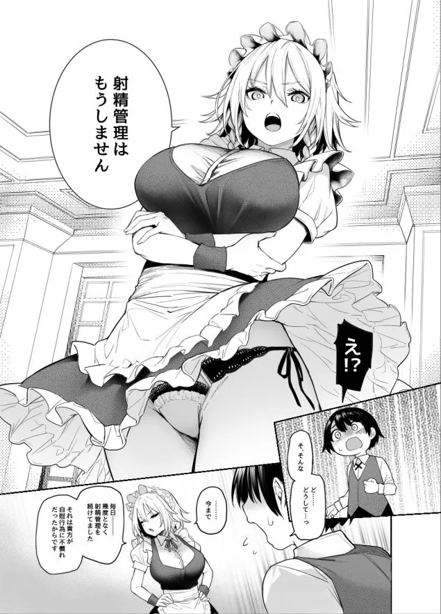 ANMITSU TOUHOU THE AFTER Vol.3 射精管理してくださいっ咲夜さん！＋