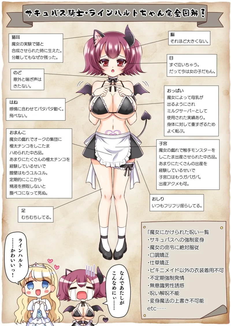 信じて送り出した騎士様がよわよわ爆乳サキュバスになって還ってくるなんて…[DL版]