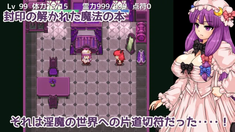 パチュリーと淫魔の魔本