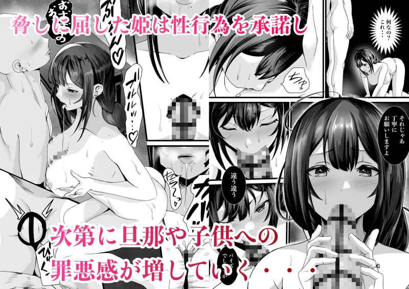 童貞オタ・・・ゲームで出会った人妻（姫）を寝取って中出しに成功する