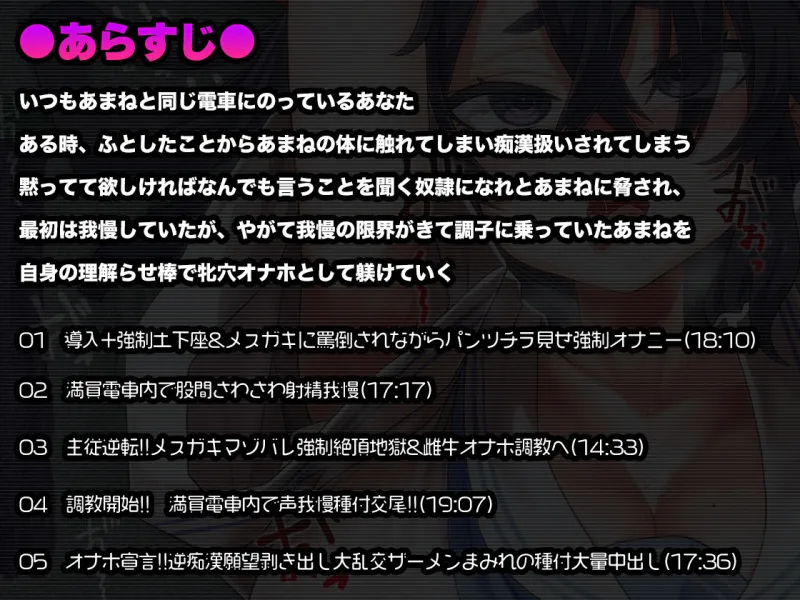 痴漢冤罪にされかけたのでクソ生意気なメスガキを種付交尾で理解らせる