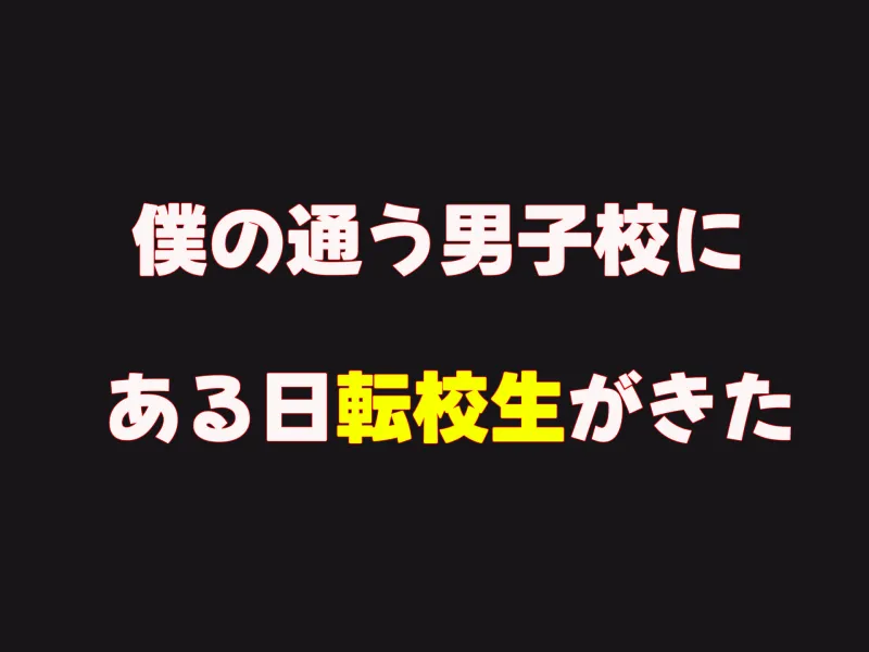 僕の通う男子校に突然転校してきた巨乳美少女～性処理担当の田中さん～