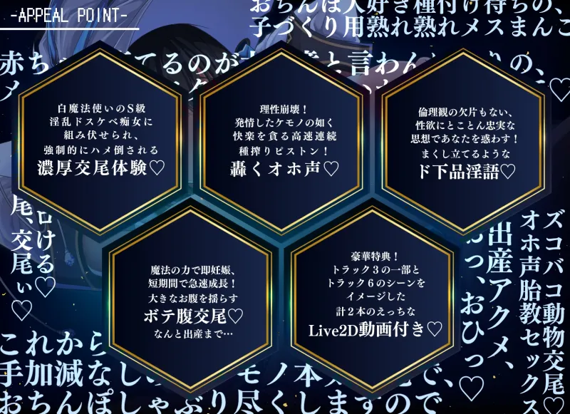 本文説明画像