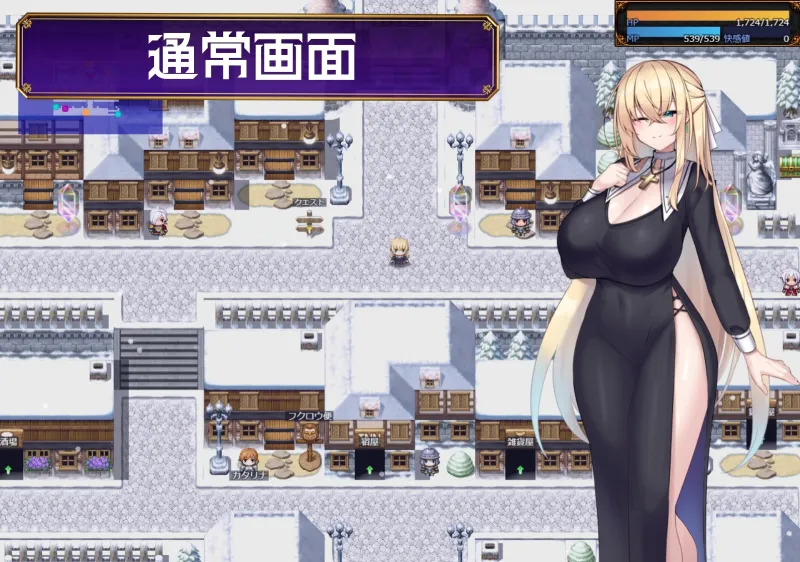 本文説明画像
