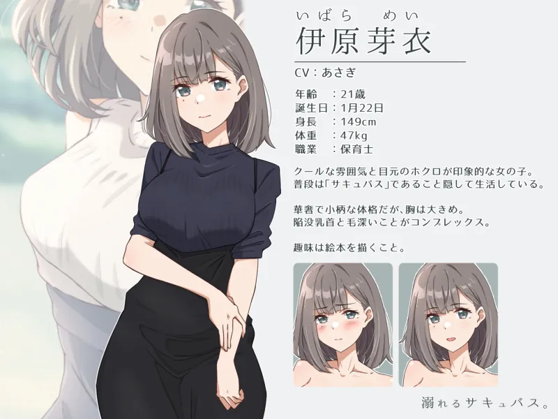 本文説明画像