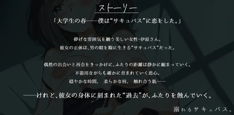 本文説明画像