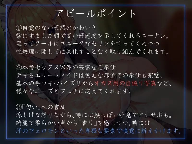 本文説明画像