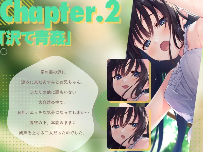 【2025年08月28日迄限定裸立ち絵集】ド田舎兄妹、超高解像度H動画＆CG集vol1