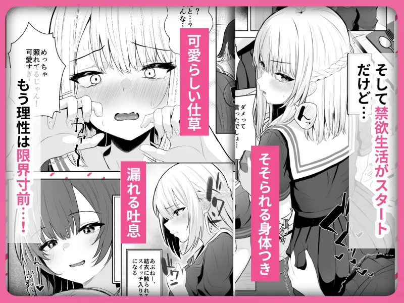 TSお兄ちゃん～フタナリ妹とのエッチ禁止を誓ったのに我慢できずに襲いにくる話～[DL版]