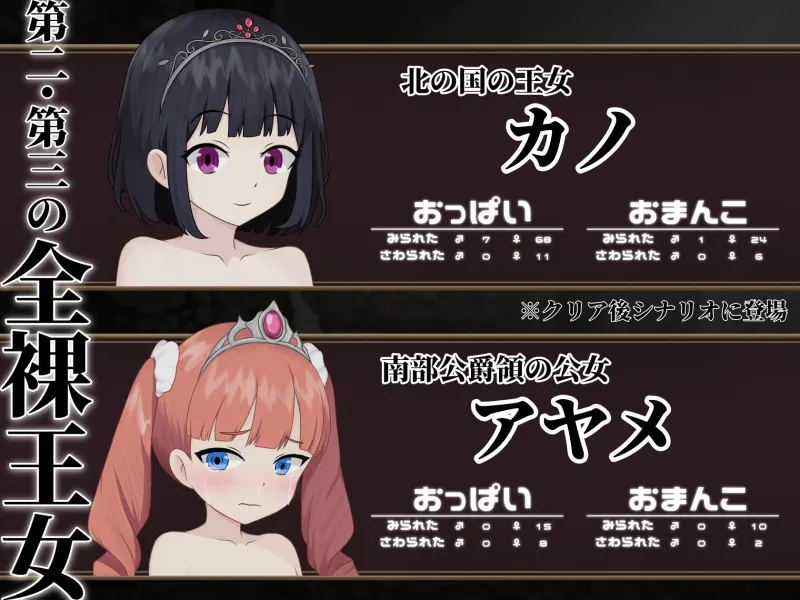 マケヒメゼンラ ～敗戦国の姫君は中央広場で全裸にされる～