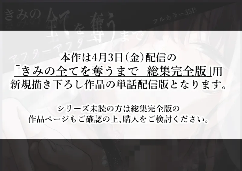 きみの全てを奪うまで アフターアフター