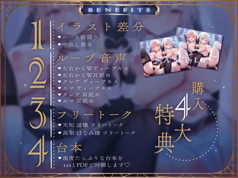 本文説明画像