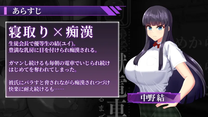 淫獄電車～生徒会長を寝取るまで～