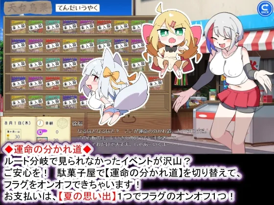 本文説明画像