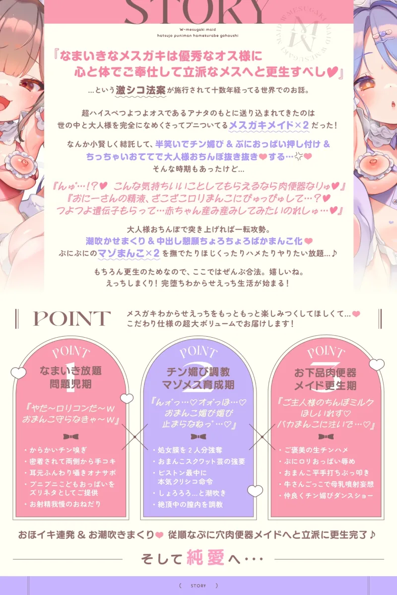 本文説明画像