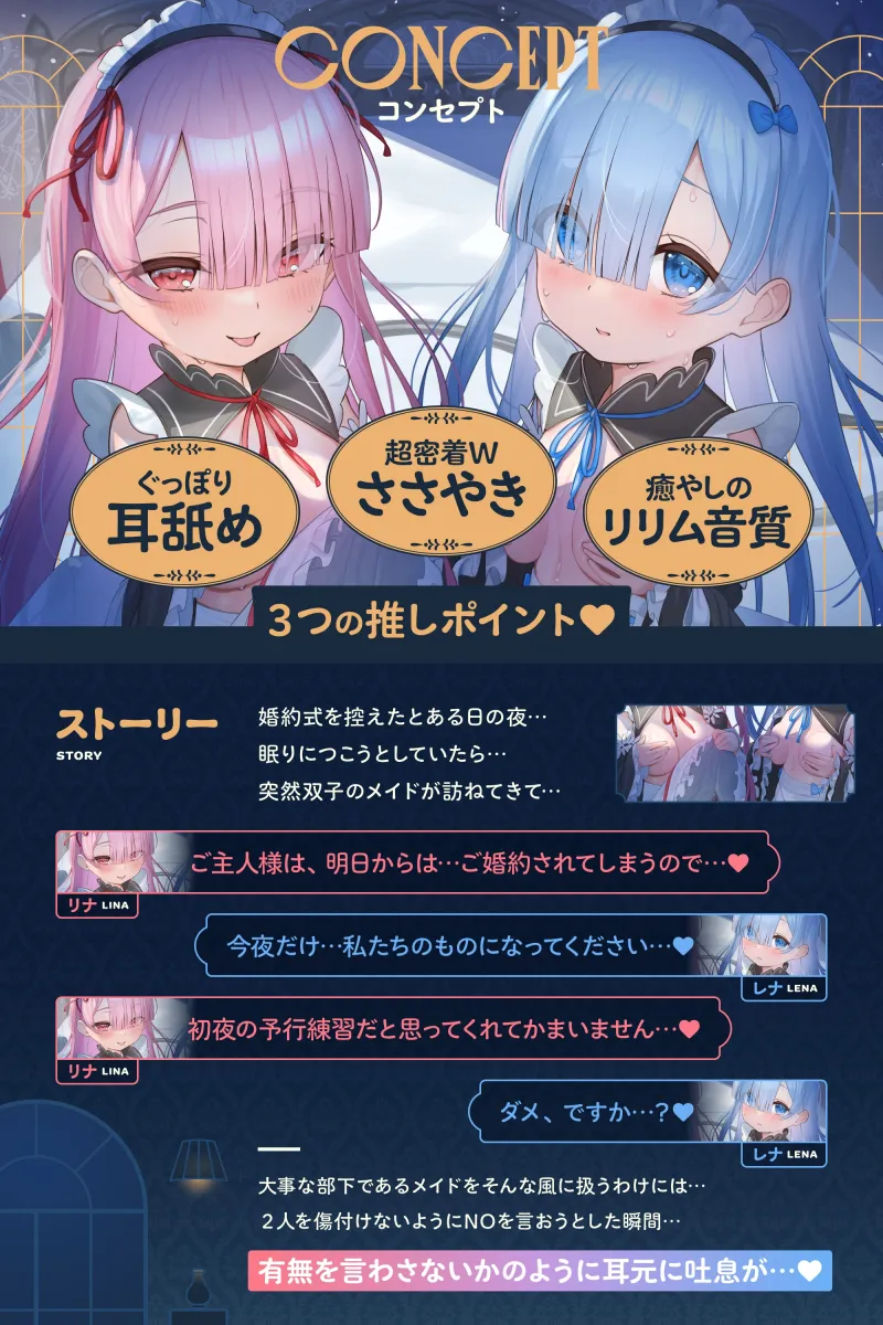 本文説明画像