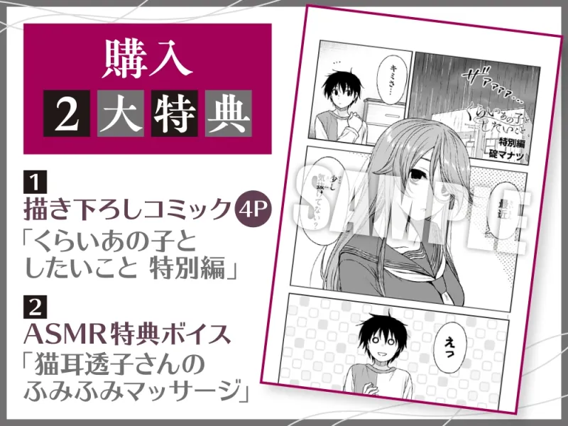 本文説明画像