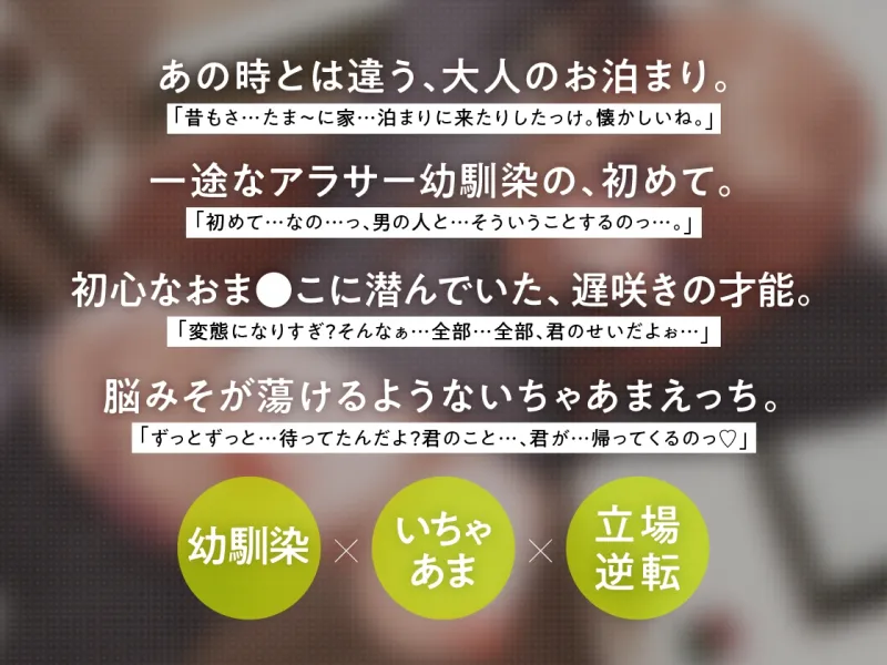 本文説明画像