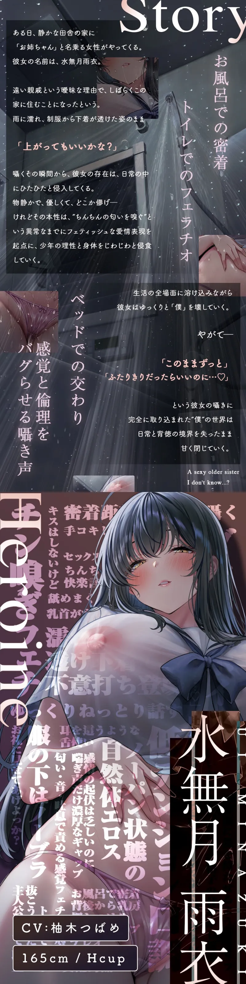 本文説明画像