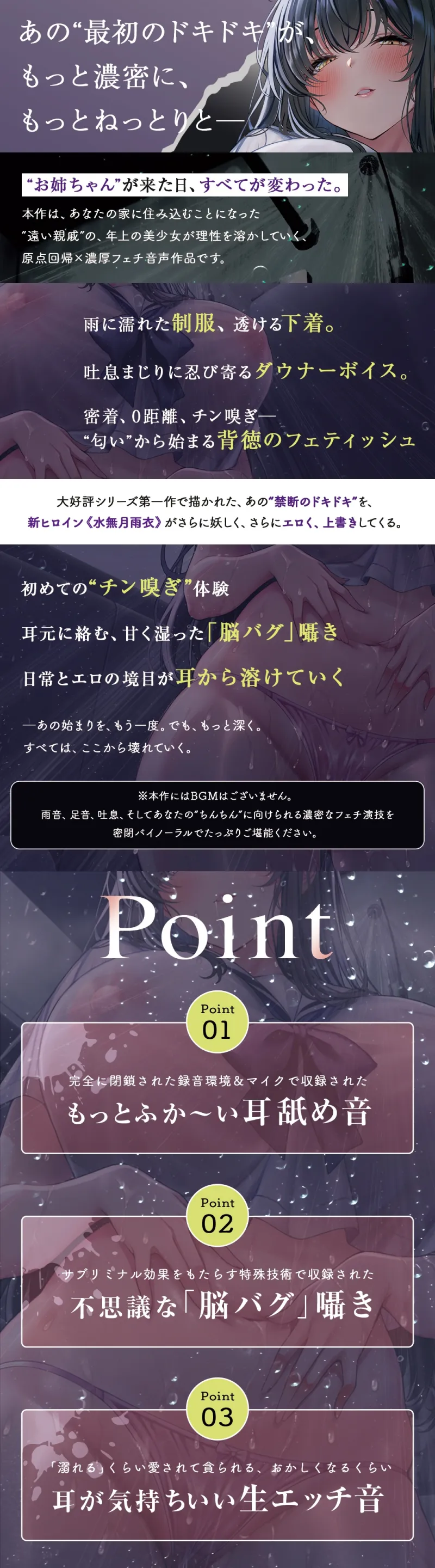 本文説明画像