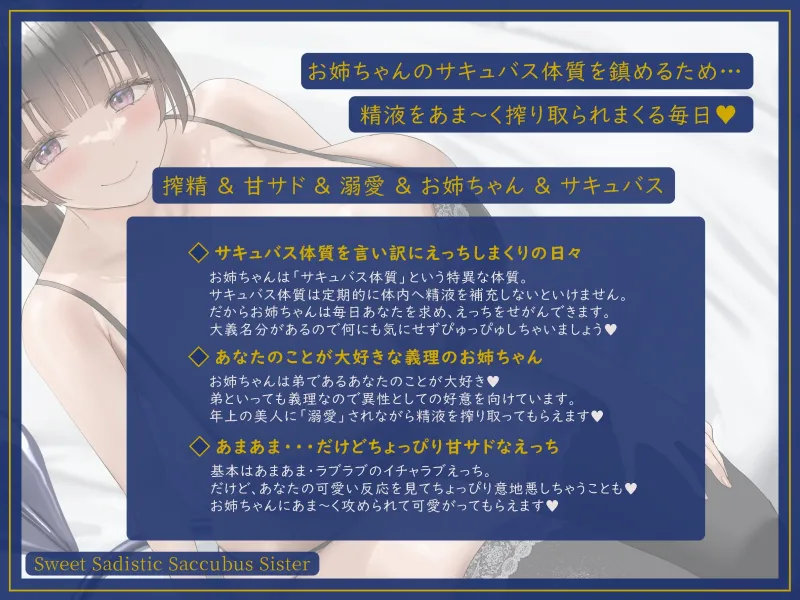 本文説明画像