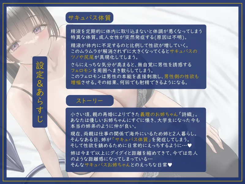本文説明画像