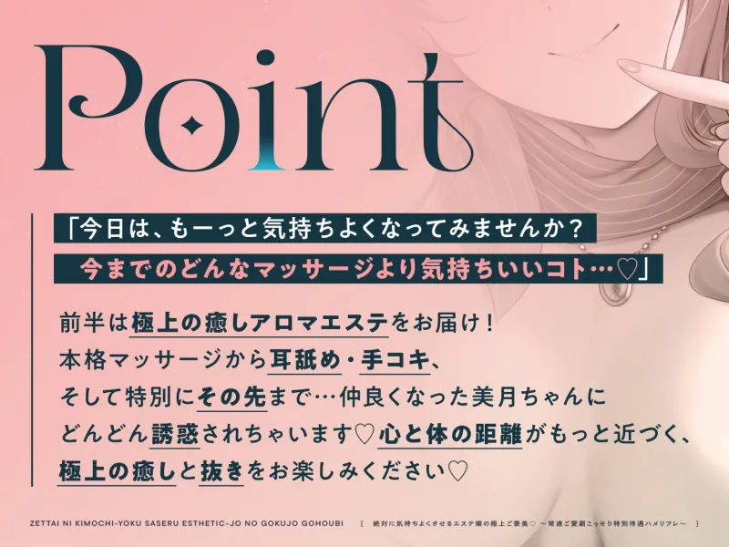 本文説明画像