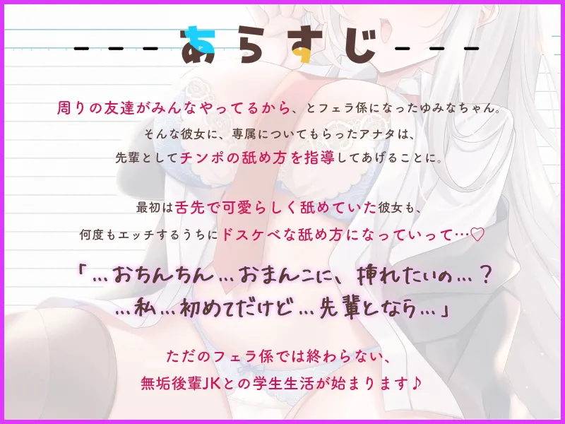 本文説明画像