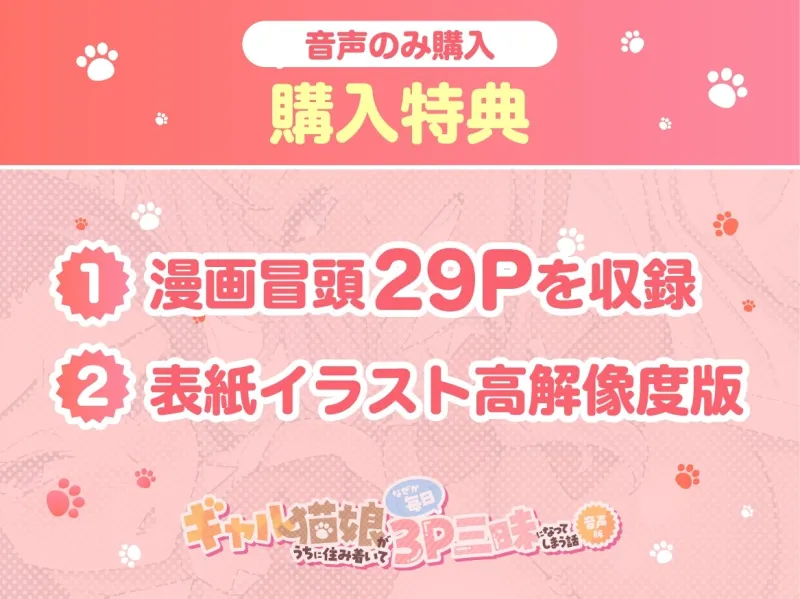 本文説明画像
