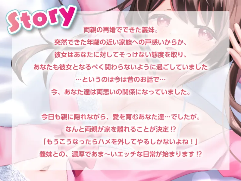 本文説明画像