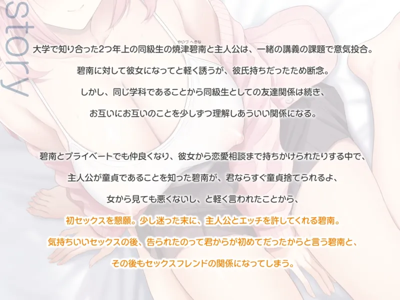 本文説明画像