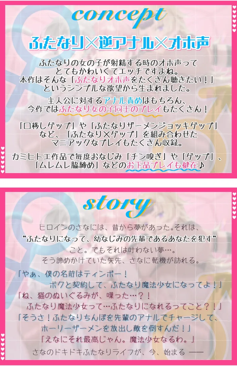 本文説明画像