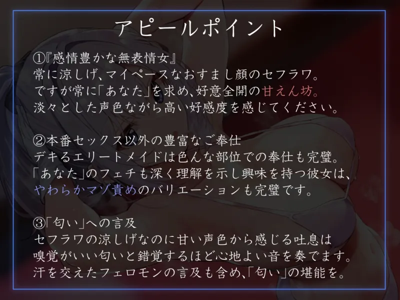 本文説明画像