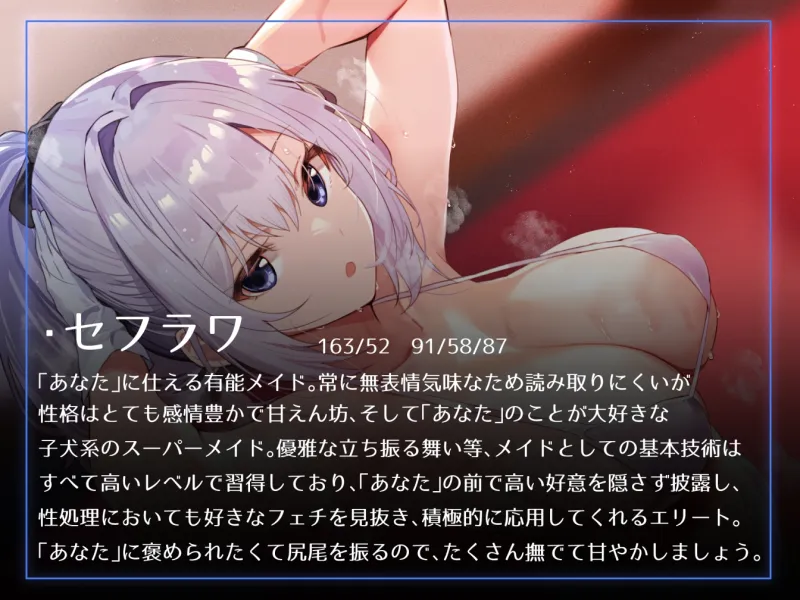 本文説明画像