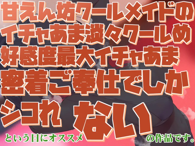 本文説明画像