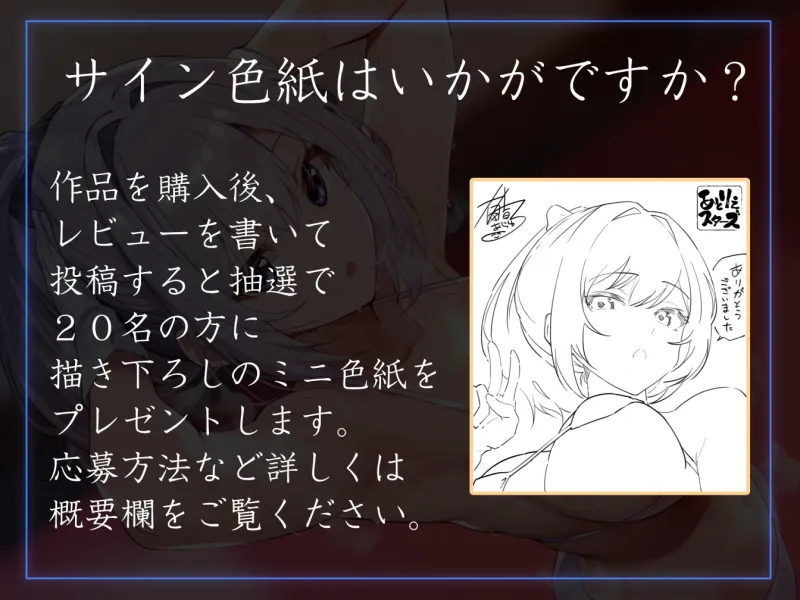 本文説明画像