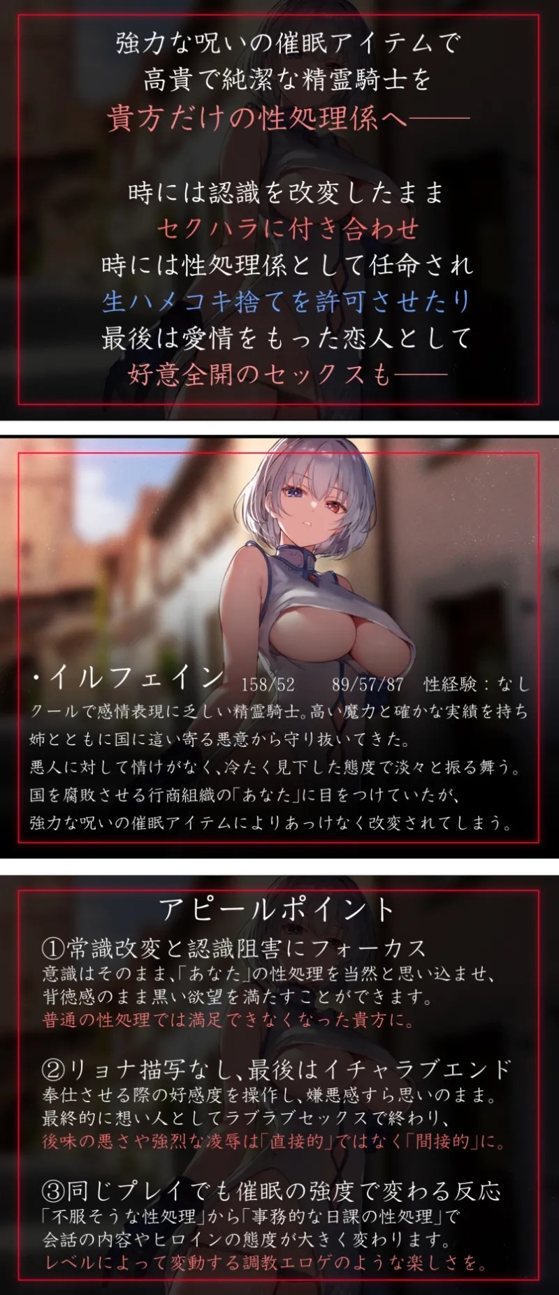 本文説明画像