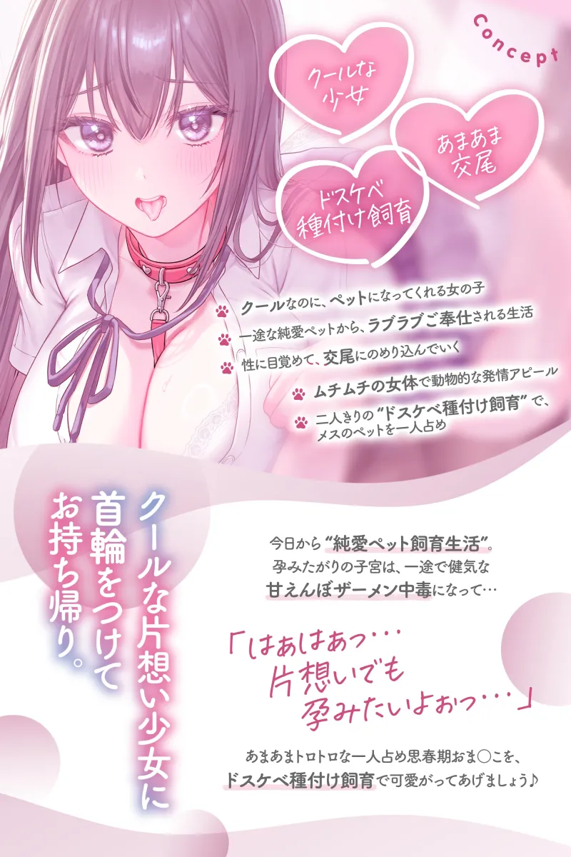 本文説明画像