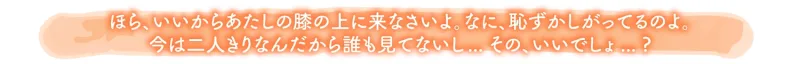本文説明画像