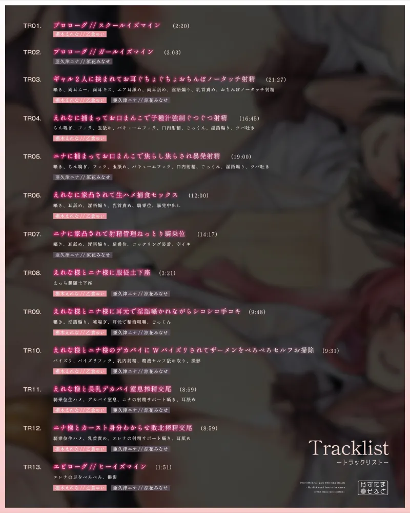 本文説明画像