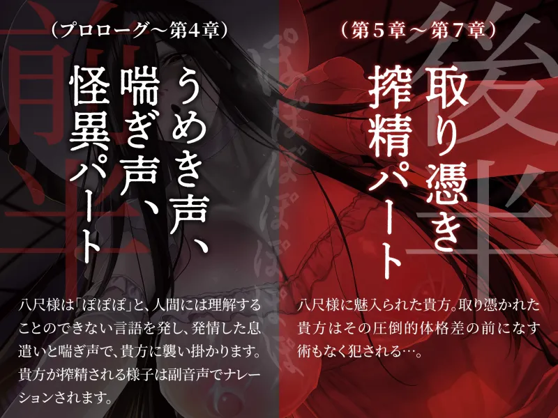 本文説明画像