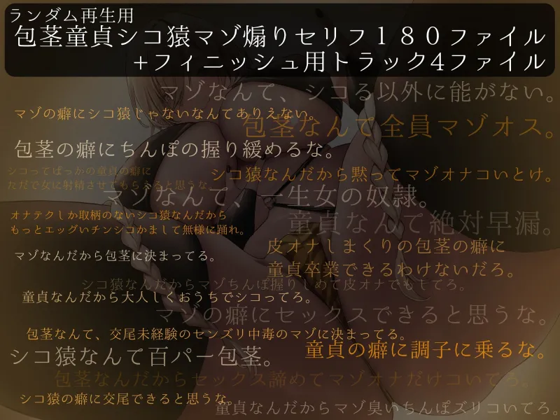 本文説明画像
