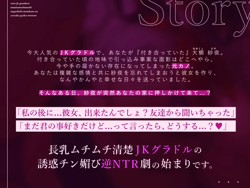 本文説明画像