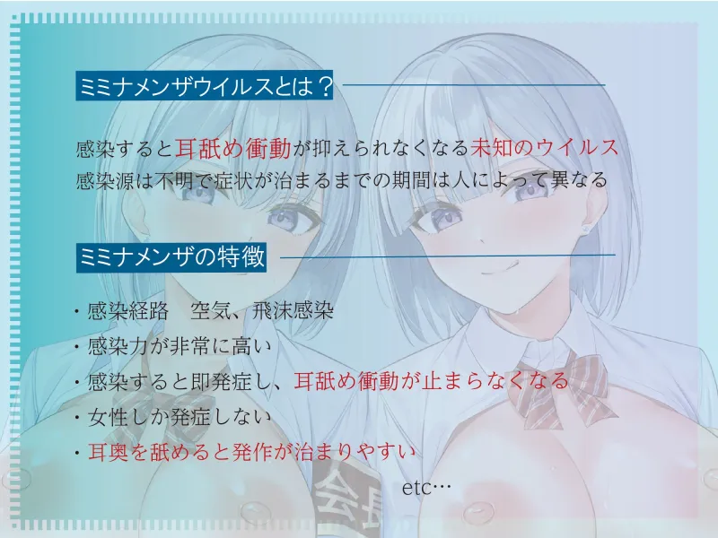 本文説明画像