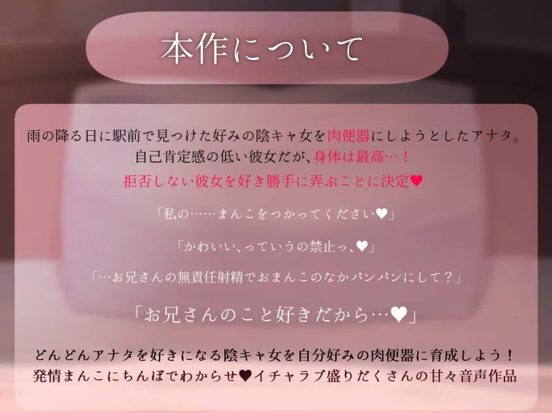 本文説明画像