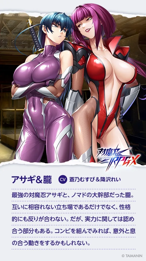 本文説明画像