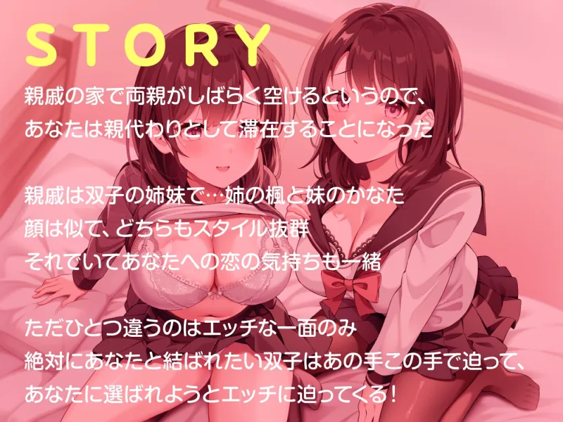 本文説明画像