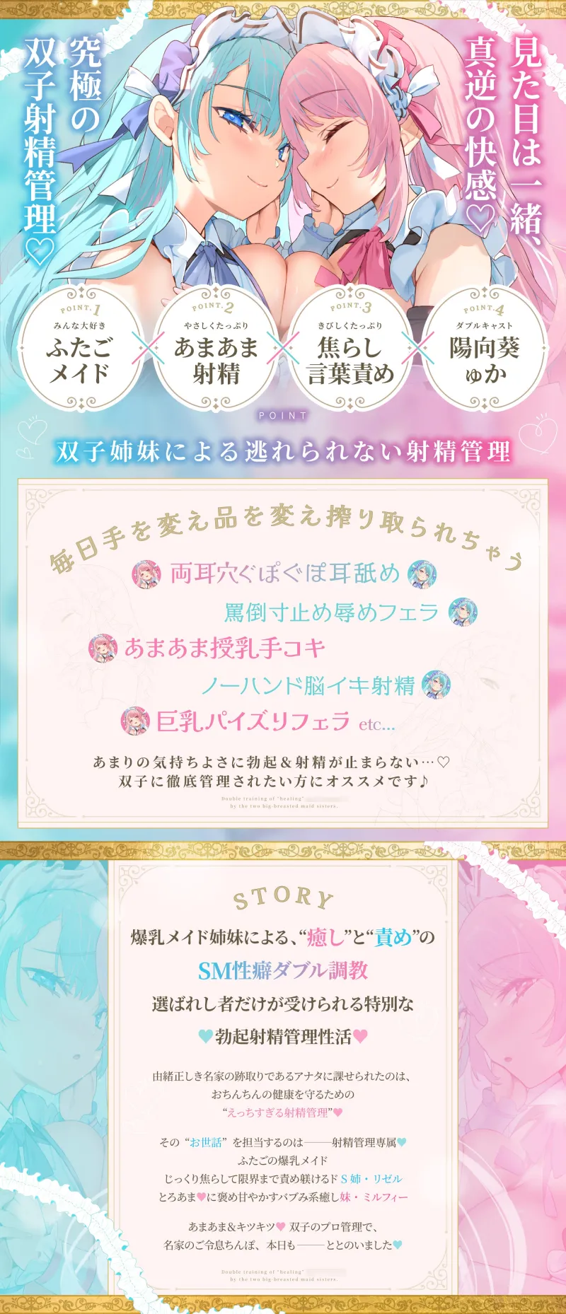 本文説明画像