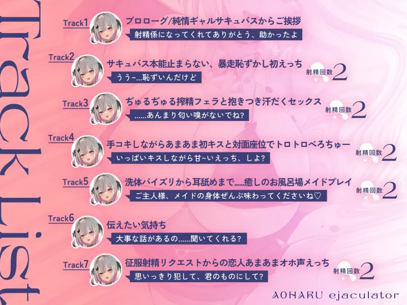 本文説明画像