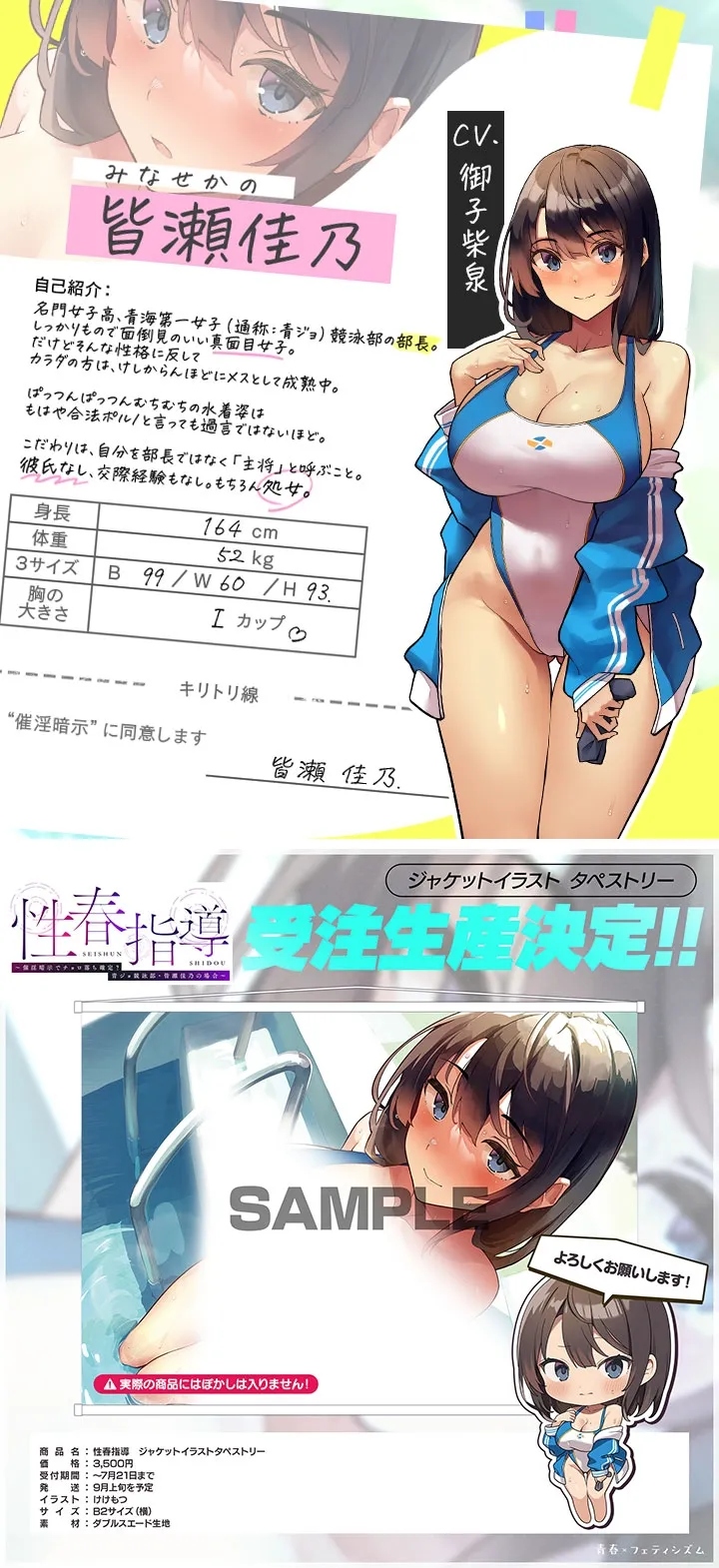 本文説明画像